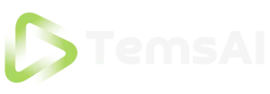 TEMS.AI SSO